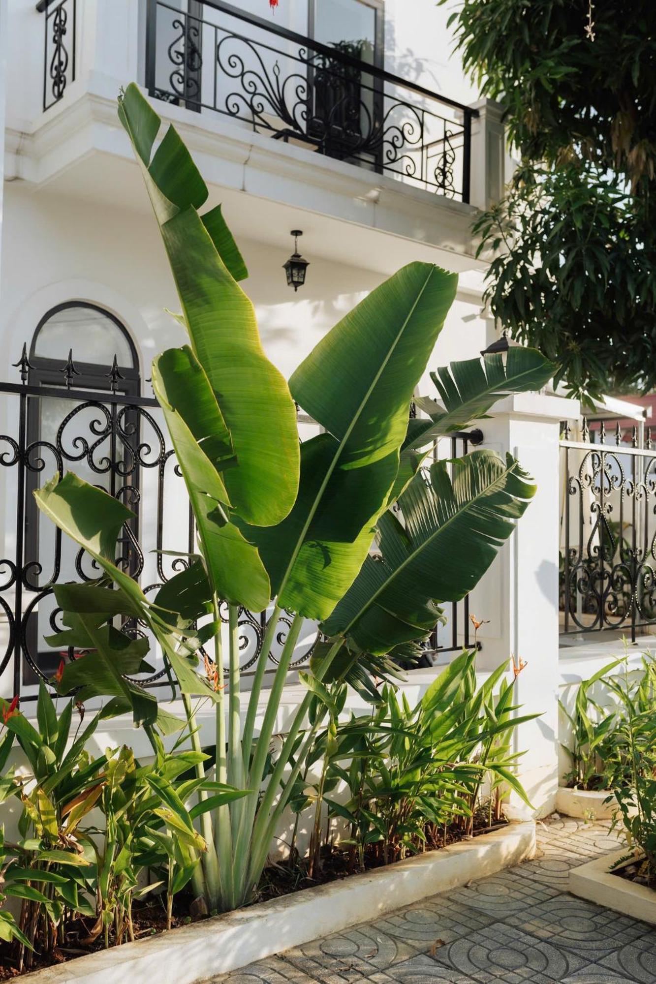 Tam Coc Sana Villa & Homestays Ninh Binh Exterior foto